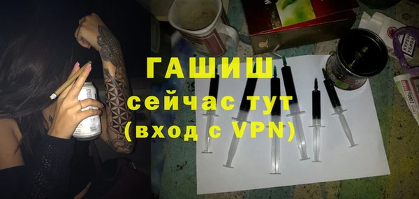 шишки Инта